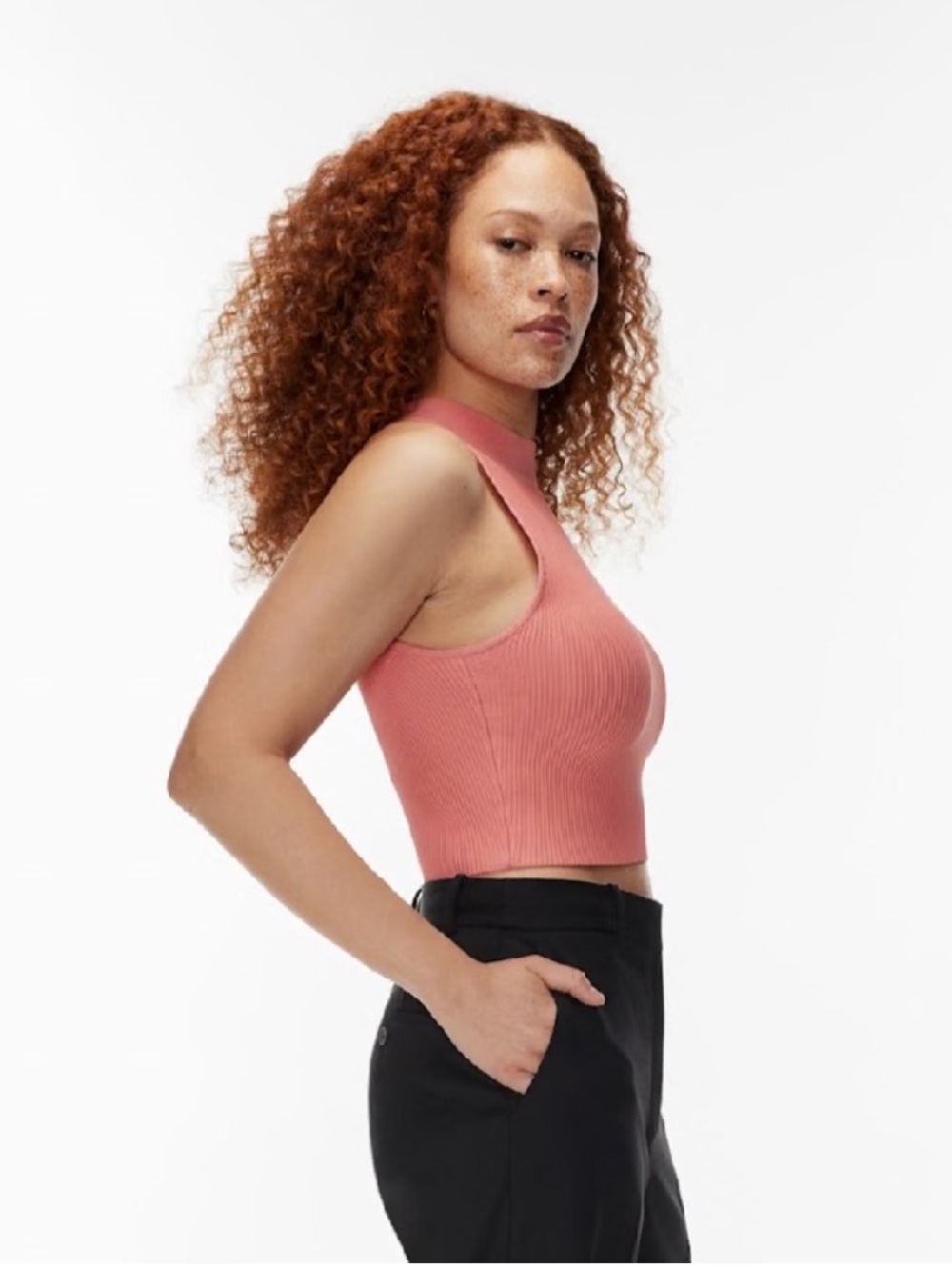Aritzia Babaton Coral Sculpt Knit Ribbed Racer High Neck Crop Top